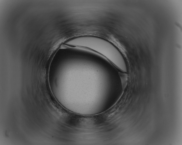 X0000091900107200709191245