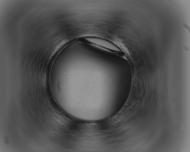 X0000091900108200709191245