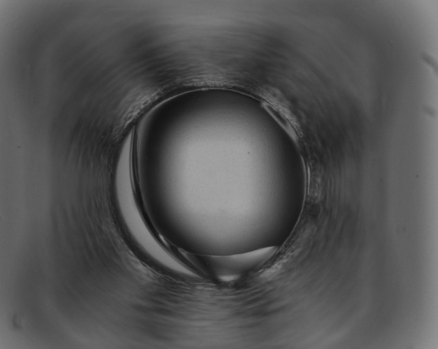 X0000091900109200709191245