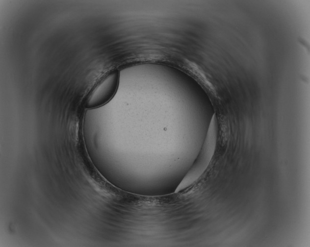 X0000091900110200709191245