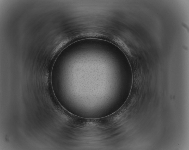 X0000091900111200709191245