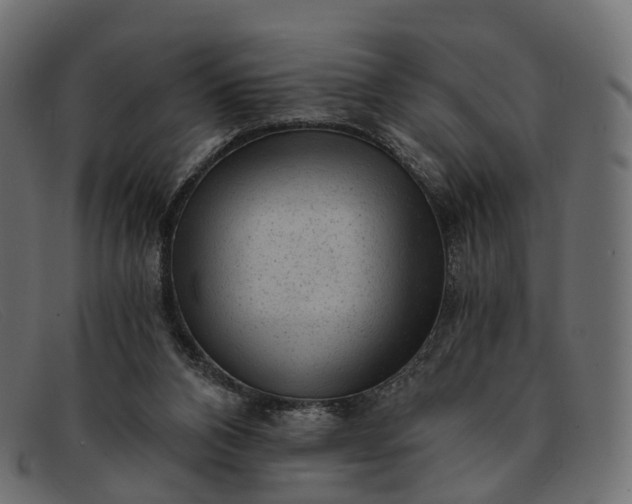 X0000091900112200709191245