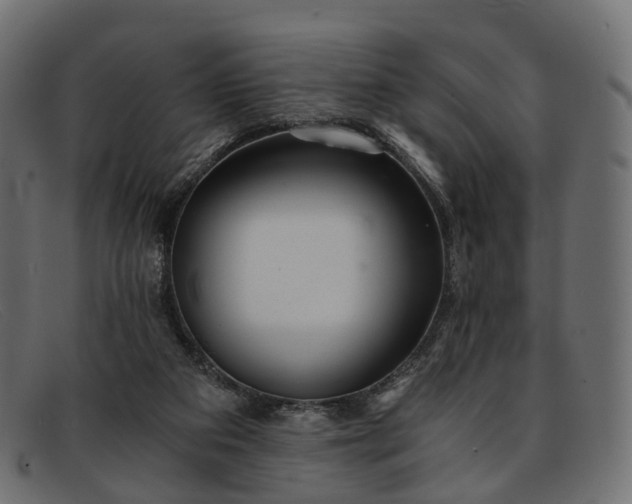 X0000091900113200709191245