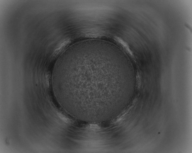 X0000091900114200709191245