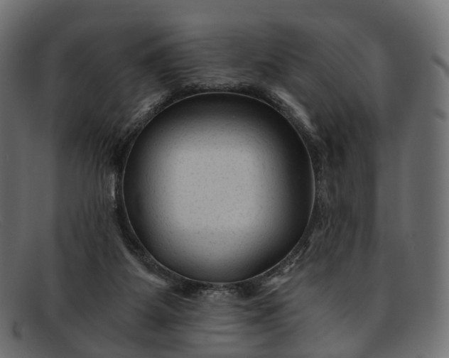 X0000091900115200709191245