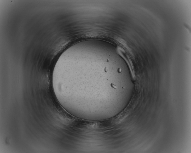 X0000091900116200709191245