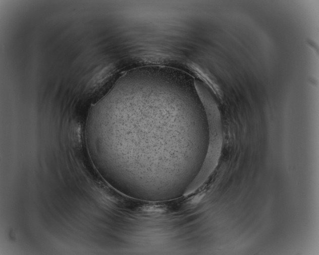 X0000091900117200709191245