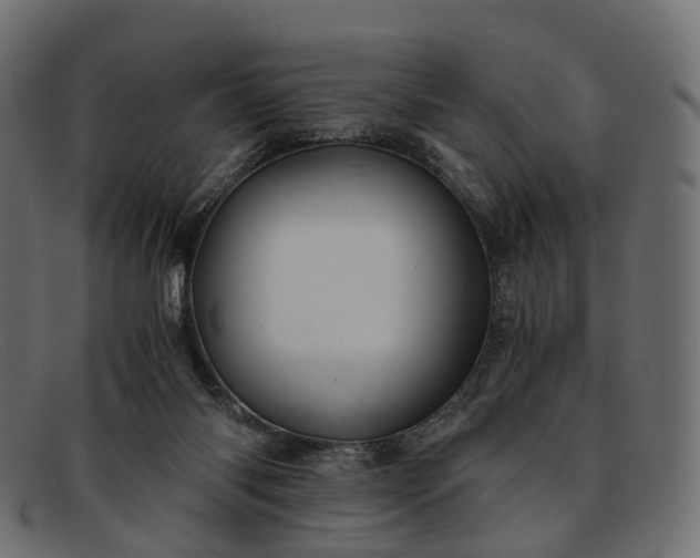 X0000091900118200709191245