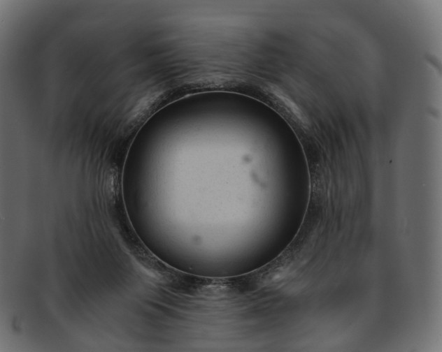 X0000091900119200709191245