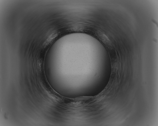 X0000091900120200709191245