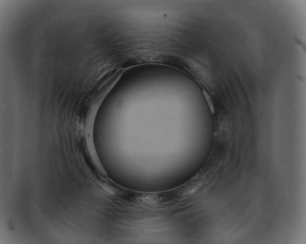 X0000091900121200709191245