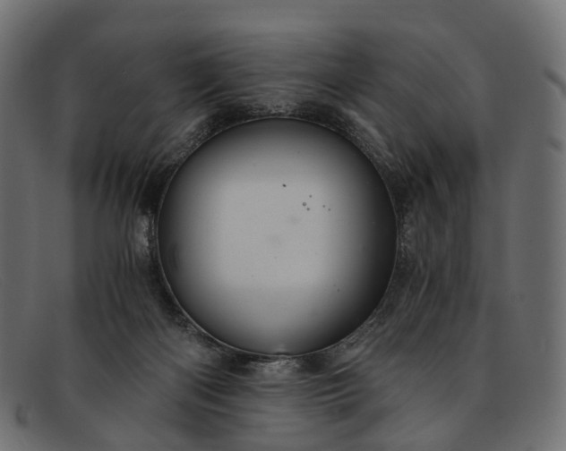 X0000091900122200709191245