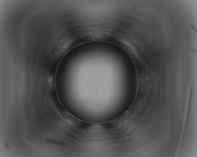 X0000091900123200709191245