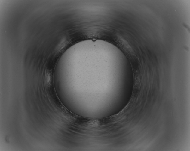 X0000091900124200709191245