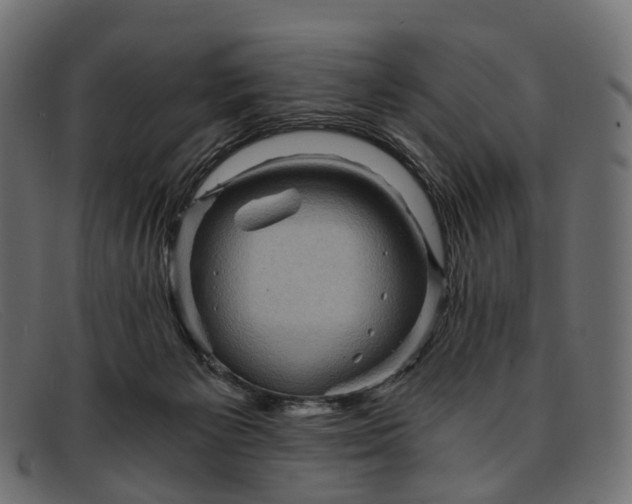 X0000091900125200709191245