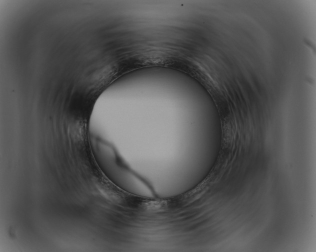 X0000091900126200709191245