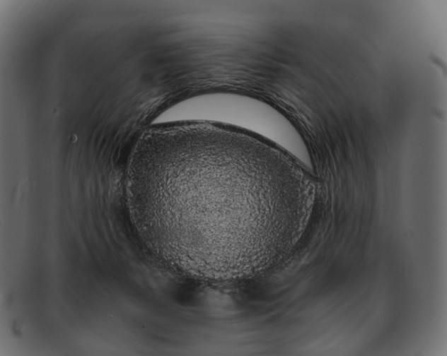 X0000091900127200709191245