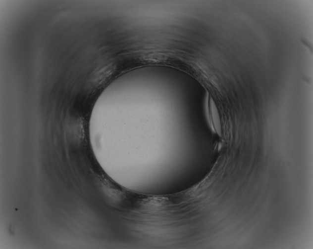 X0000091900128200709191245