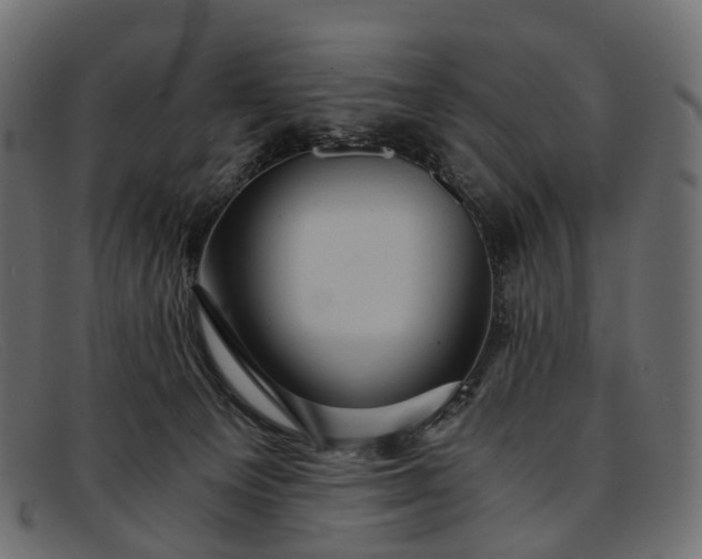 X0000091900129200709191245