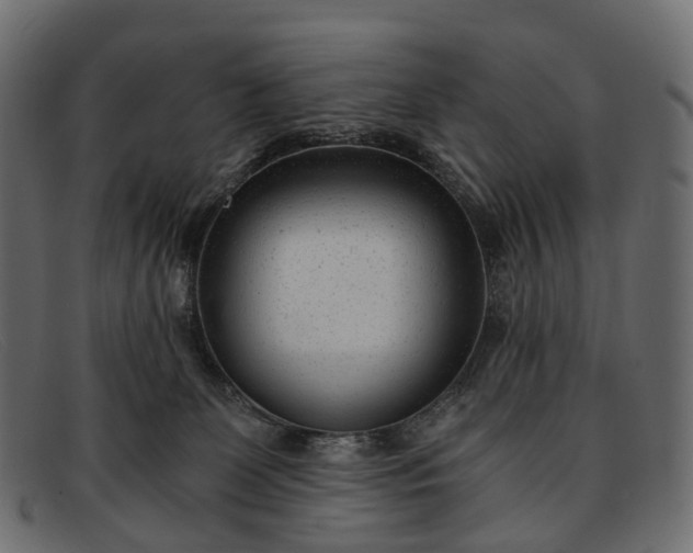 X0000091900131200709191245