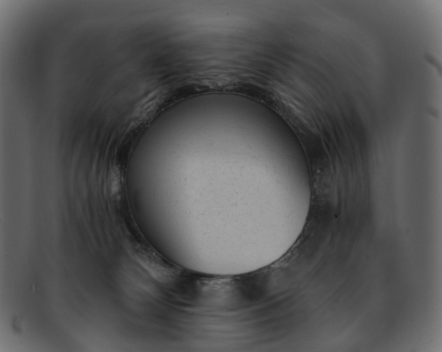 X0000091900132200709191245