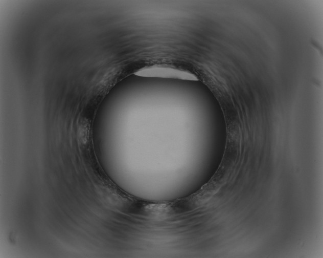 X0000091900133200709191245