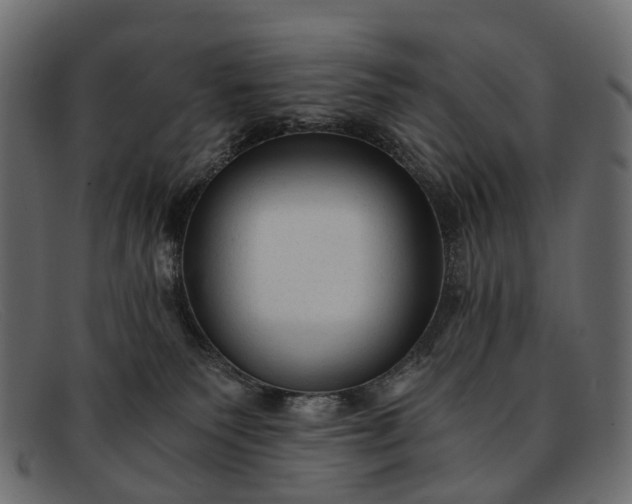 X0000091900135200709191245