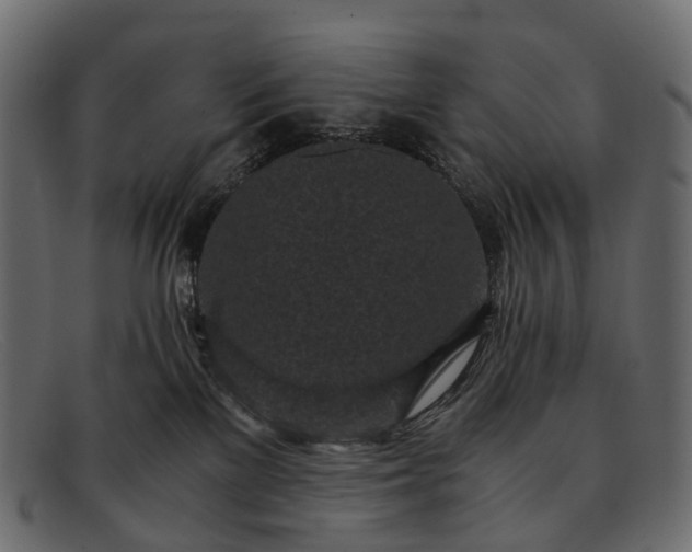 X0000091900137200709191245