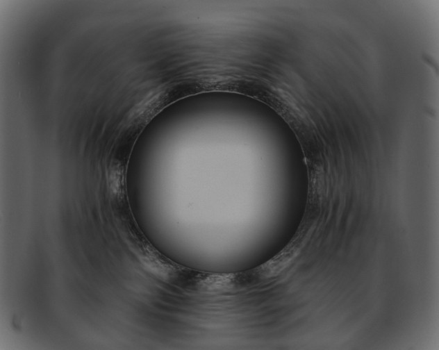 X0000091900138200709191245