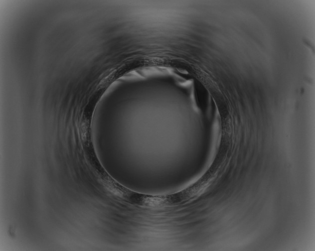 X0000091900139200709191245