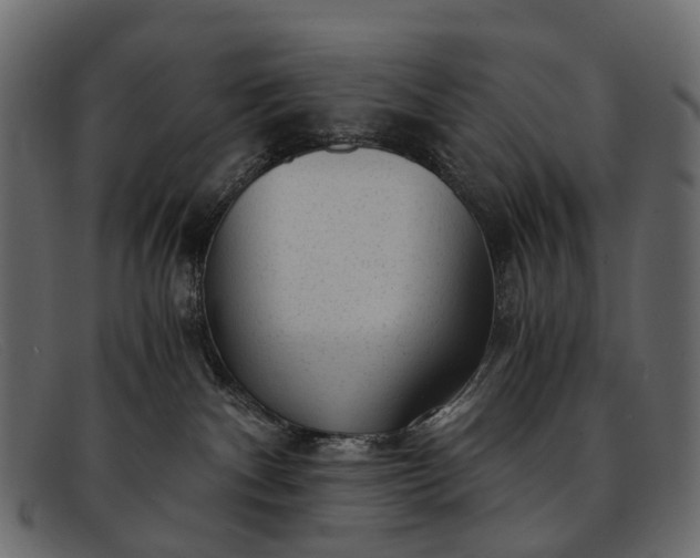 X0000091900140200709191245