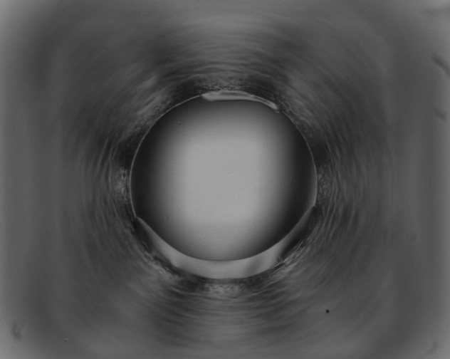 X0000091900141200709191245