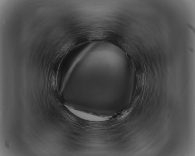 X0000091900143200709191245