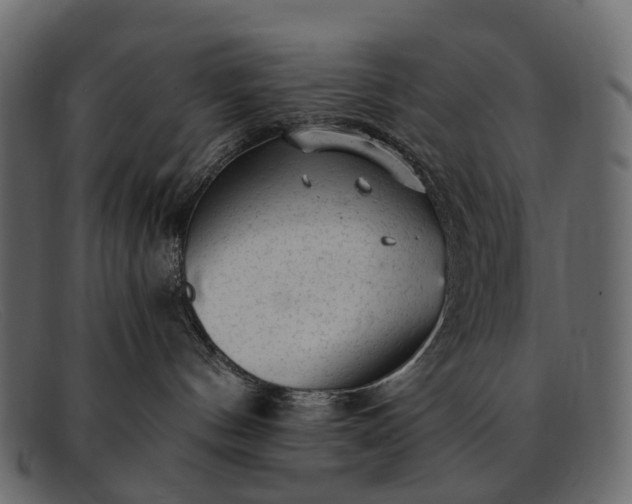 X0000091900144200709191245