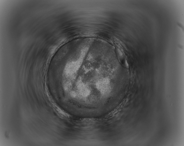 X0000091900145200709191244