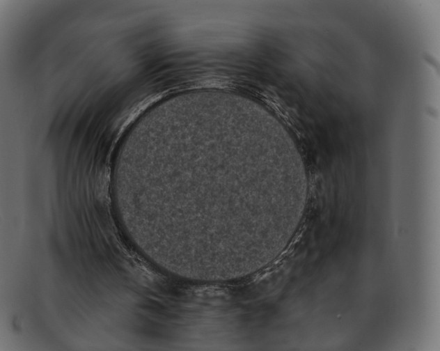 X0000091900146200709191244