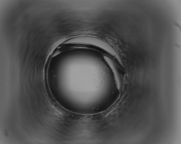 X0000091900148200709191244