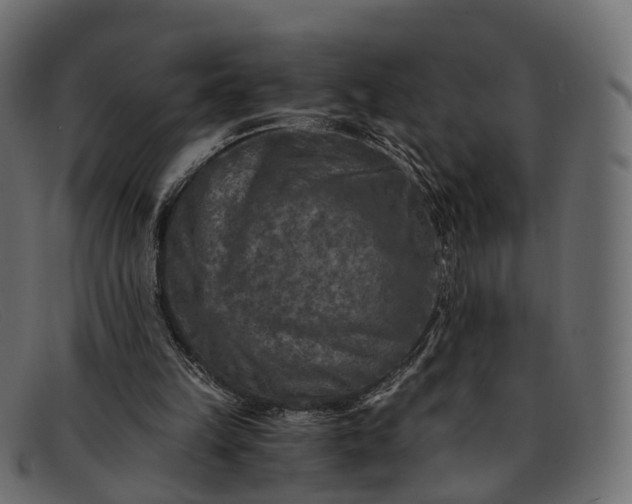 X0000091900149200709191244