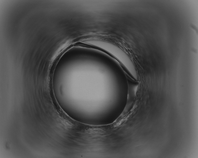 X0000091900150200709191244