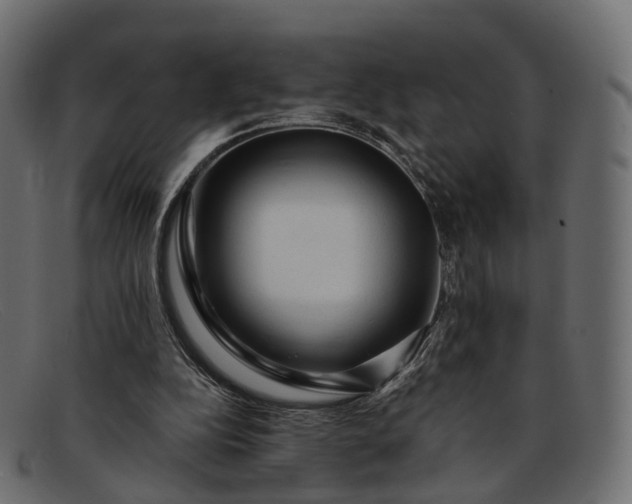 X0000091900152200709191244