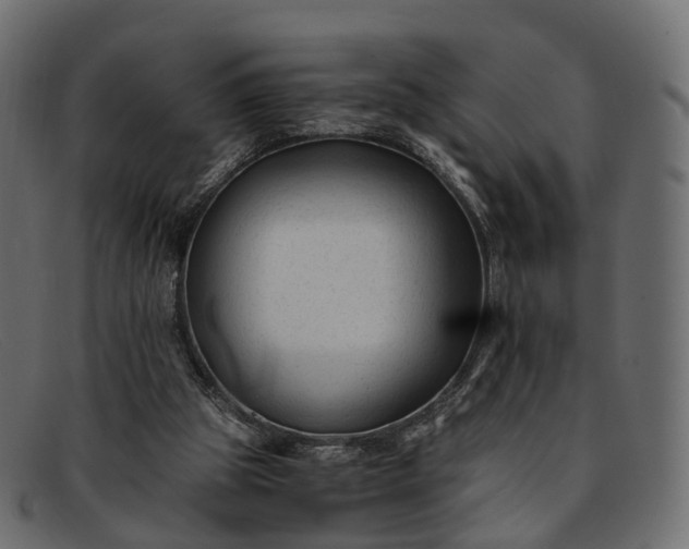 X0000091900153200709191244