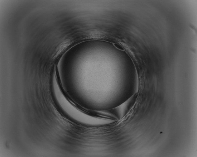 X0000091900154200709191244