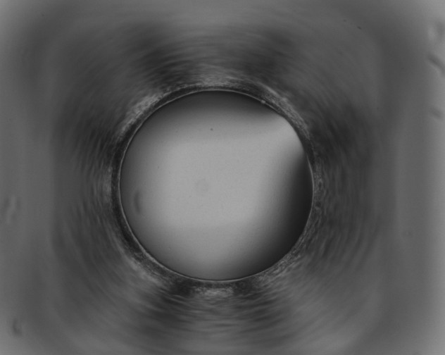 X0000091900155200709191244