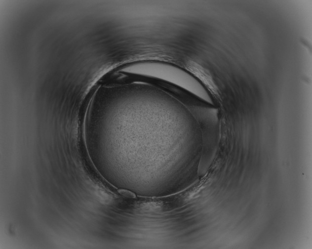 X0000091900156200709191244