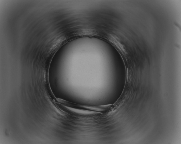 X0000091900157200709191244