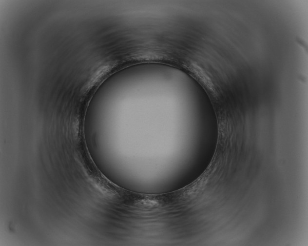 X0000091900159200709191244