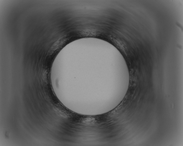 X0000091900162200709191244