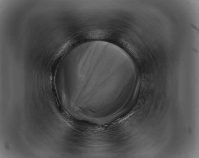 X0000091900163200709191244