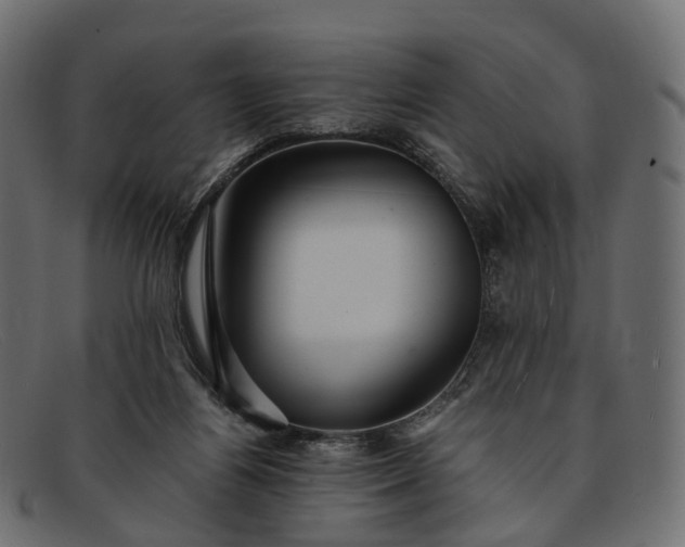 X0000091900164200709191244