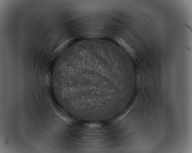 X0000091900165200709191244